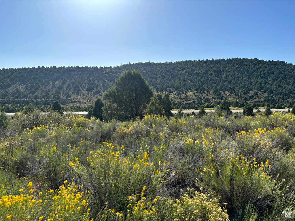 View of mountain feature