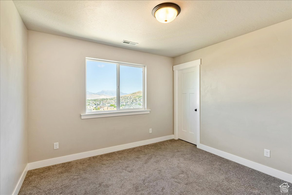 Unfurnished room featuring carpet floors and a textured ceiling