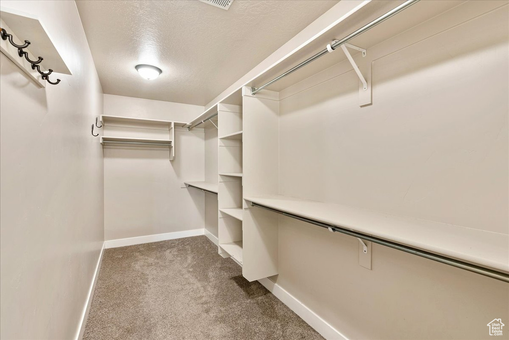 Walk in closet featuring carpet floors