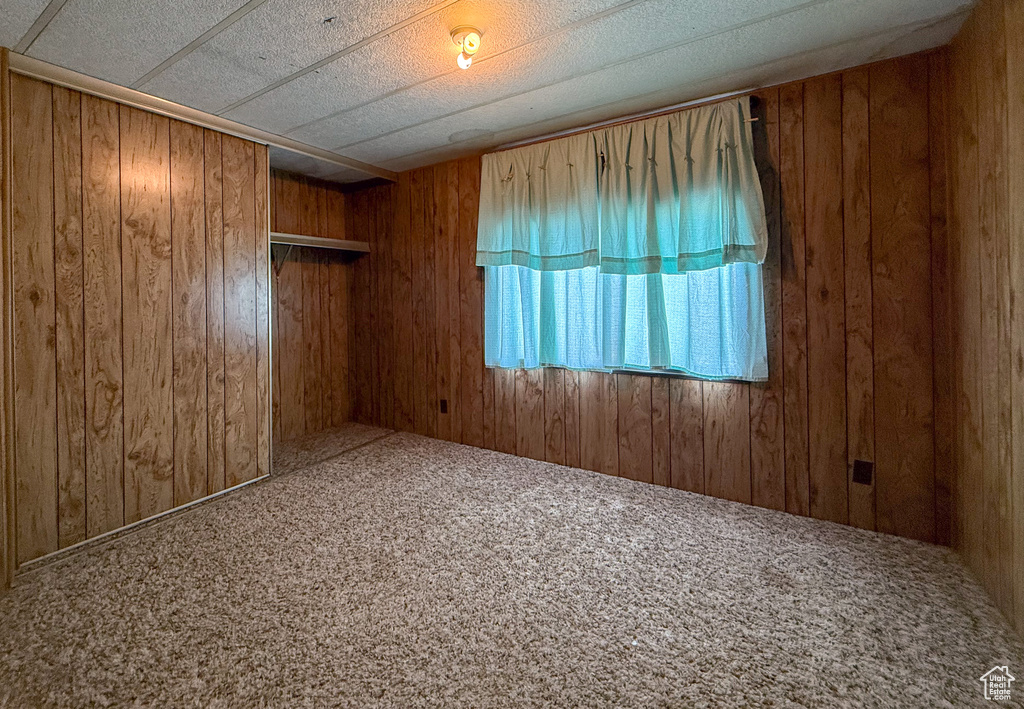 Spare room featuring carpet and wooden walls