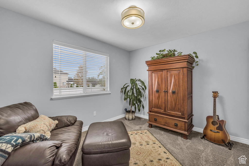 Living area with carpet flooring