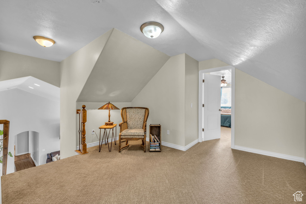 Living area featuring carpet floors, a textured ceiling, and lofted ceiling