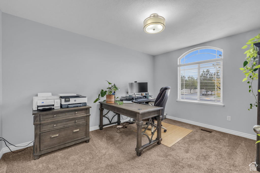 Office with carpet floors