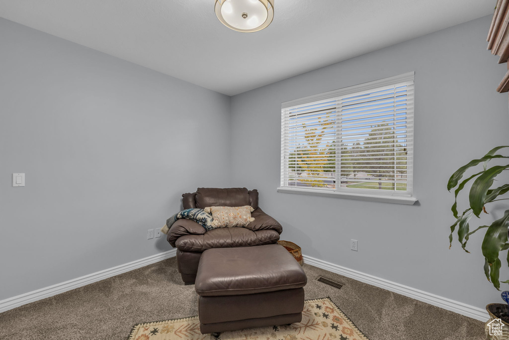 Living area with carpet