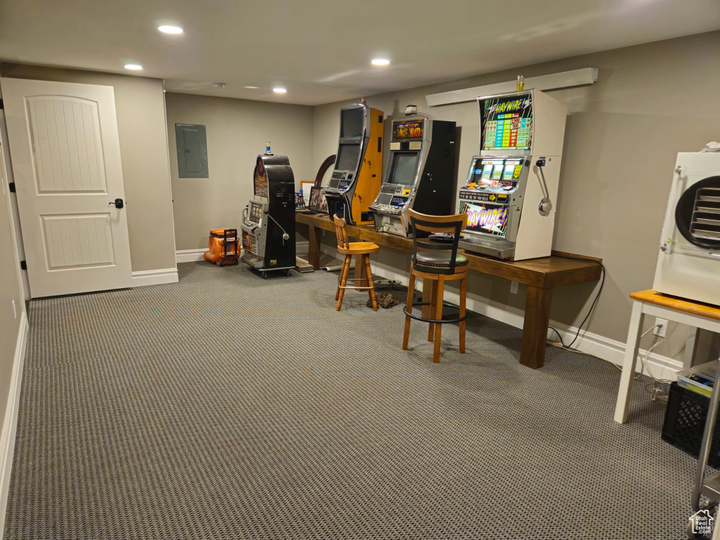 Interior space featuring carpet and electric panel