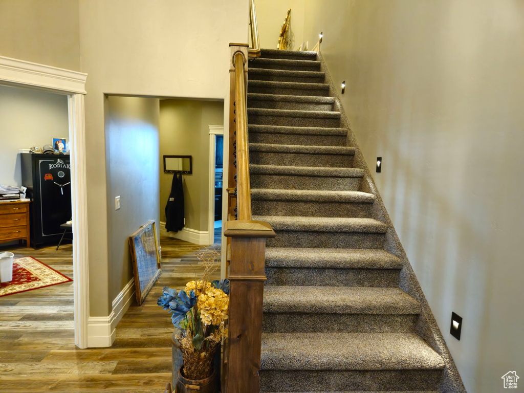 Staircase with hardwood / wood-style floors