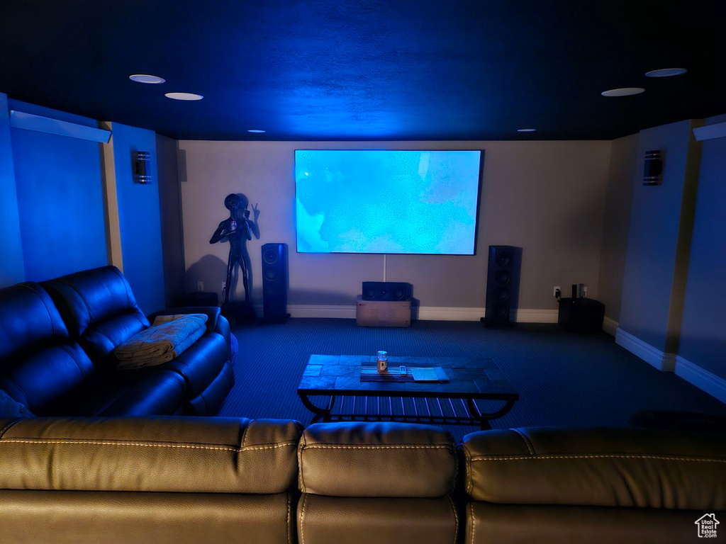 View of carpeted home theater room