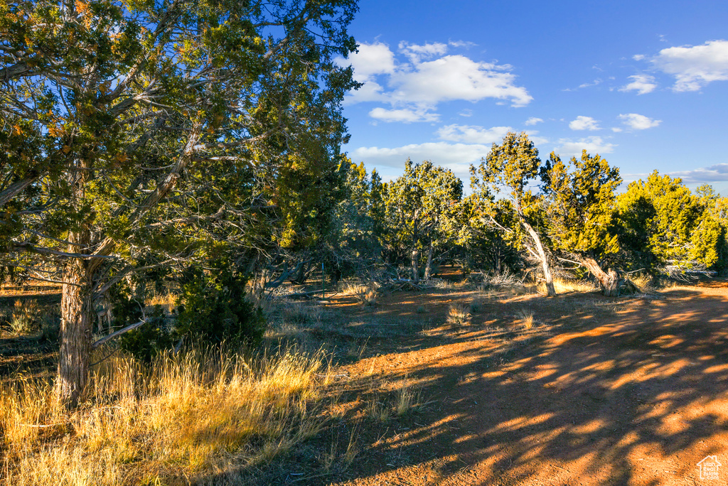 View of landscape