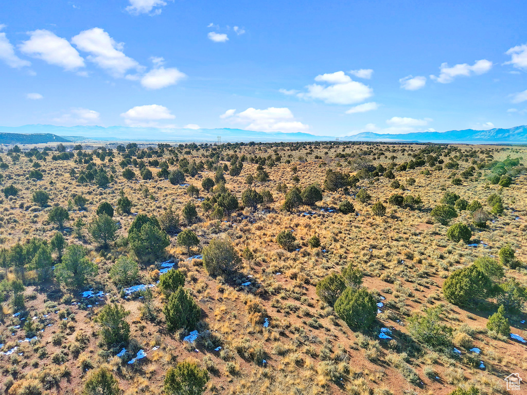 Bird's eye view featuring a mountain view