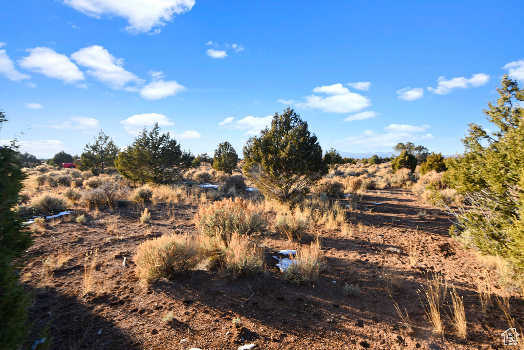 View of local wilderness featuring a rural view