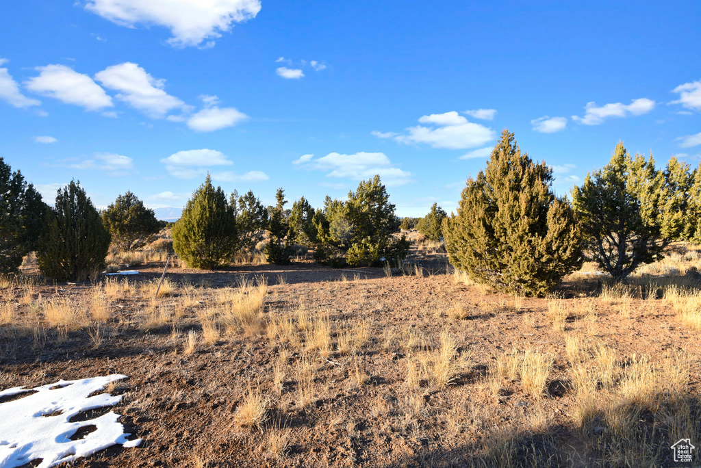 View of local wilderness with a rural view