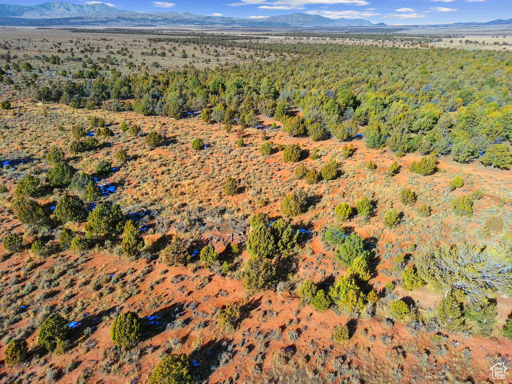Aerial view with a mountain view
