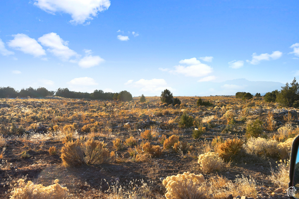 View of local wilderness