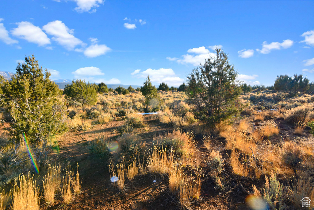 View of nature