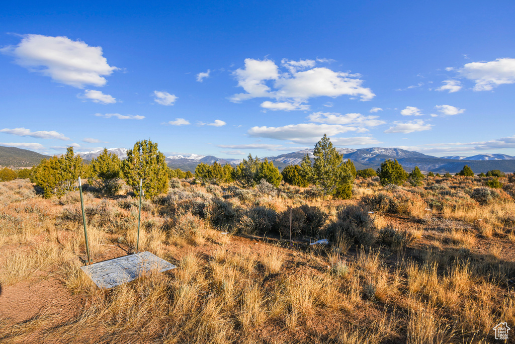 Mountain view
