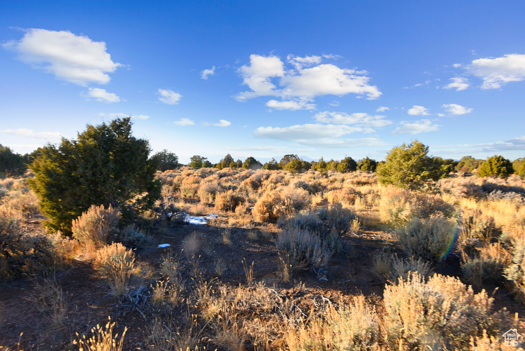 View of nature