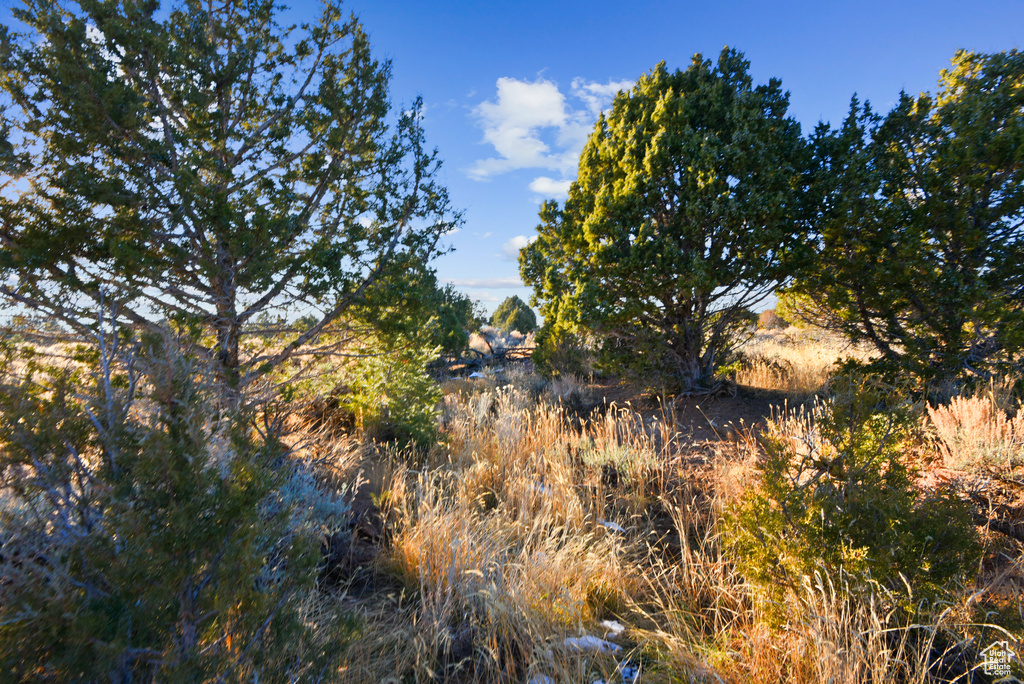 View of landscape