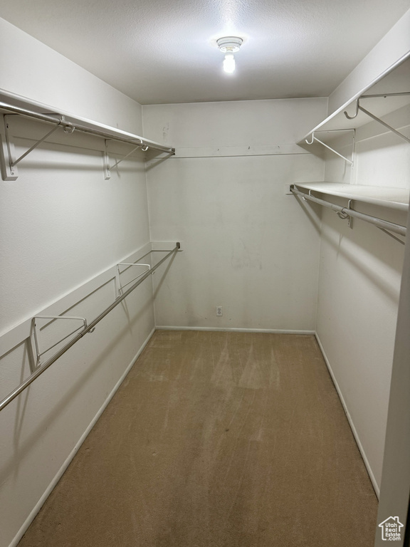 Spacious closet with carpet floors