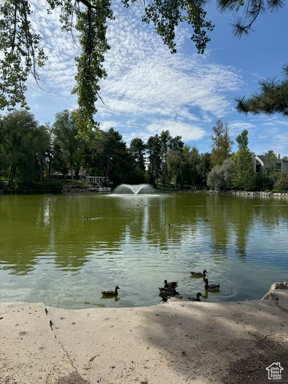 View of water feature