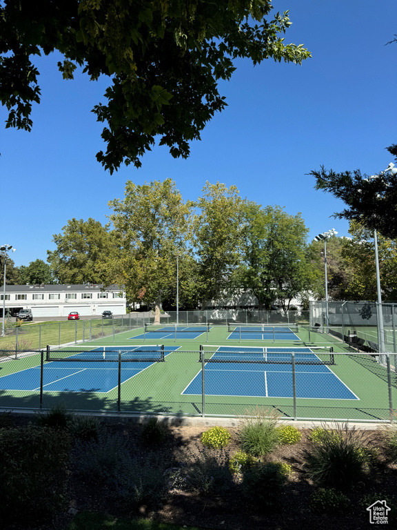 View of sport court