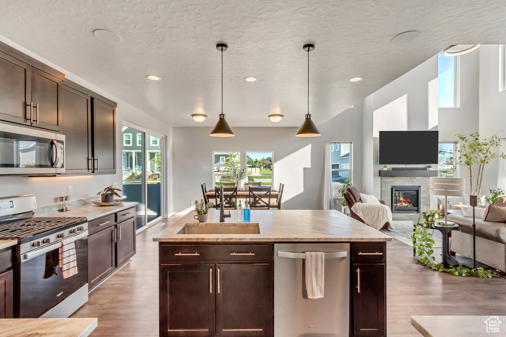 Kitchen with pendant lighting, light hardwood / wood-style floors, sink, appliances with stainless steel finishes, and dark brown cabinetry