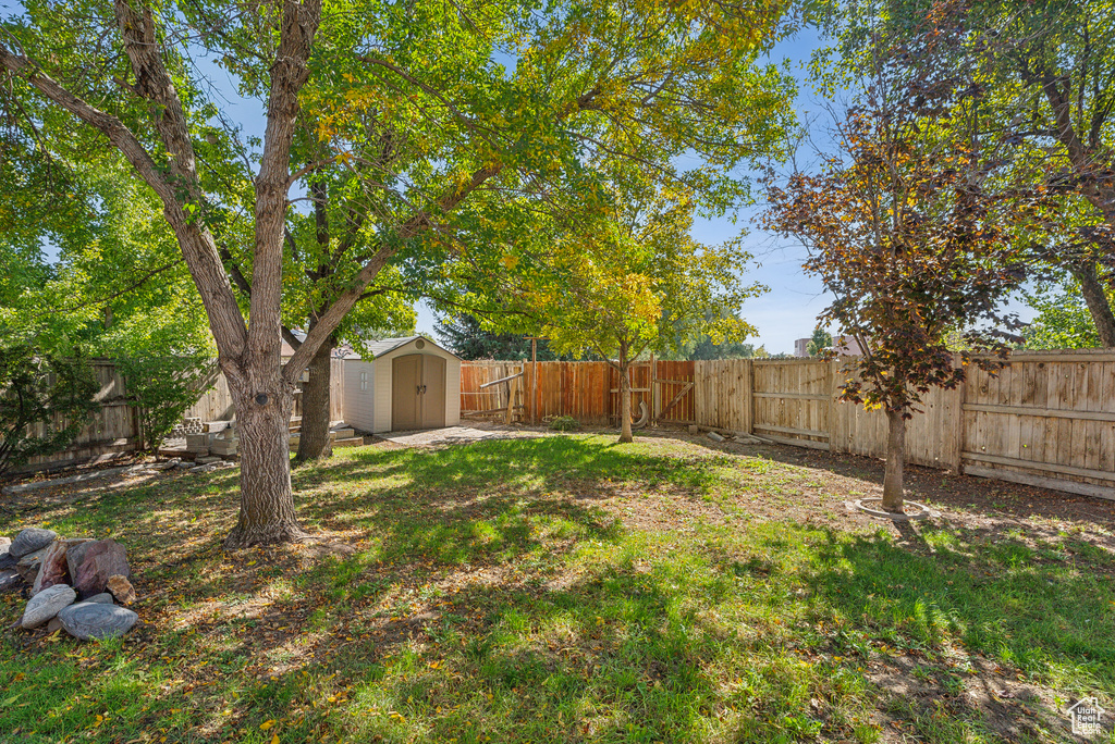 View of yard with a storage shed