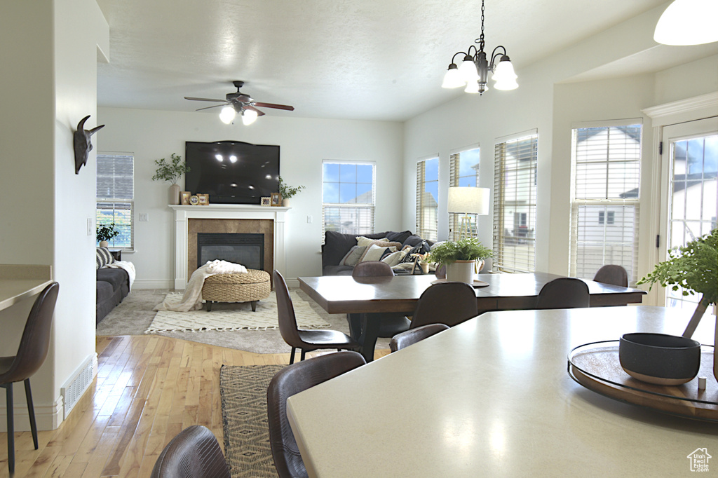 Dining area featuring a wealth of natural light, ceiling fan with notable chandelier, light hardwood / wood-style floors, and a tile fireplace