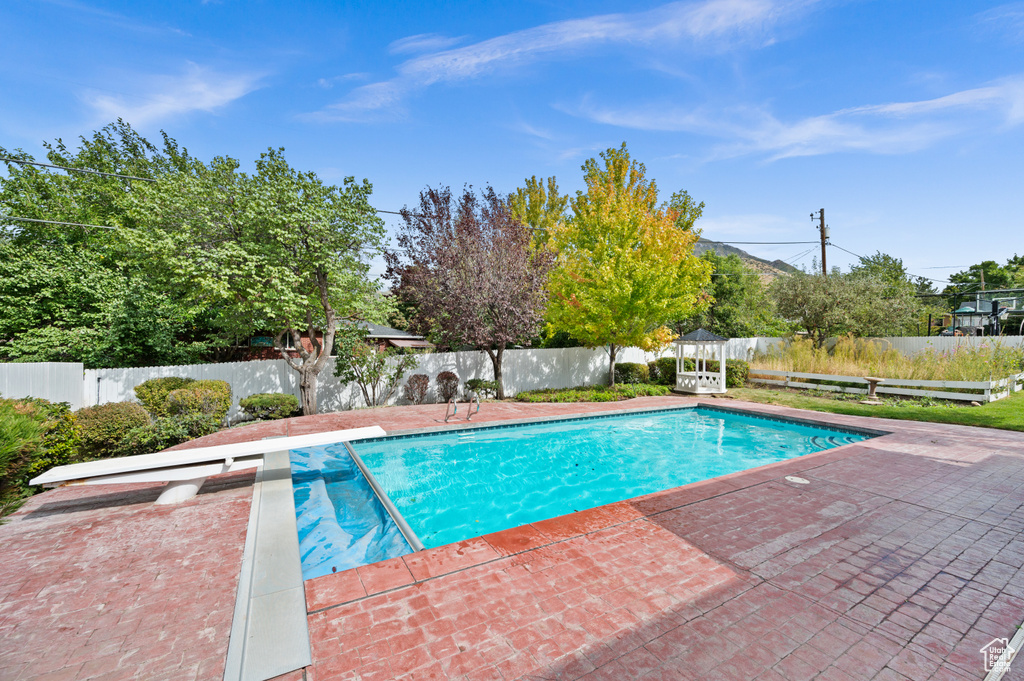 View of pool with a patio and a diving board