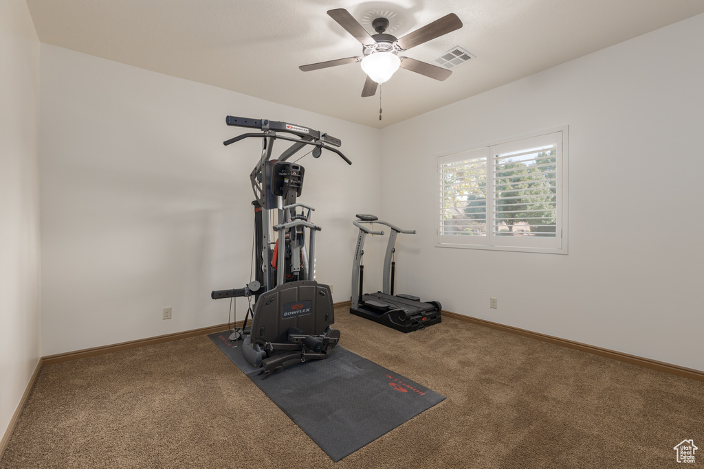 Workout area featuring ceiling fan and carpet floors