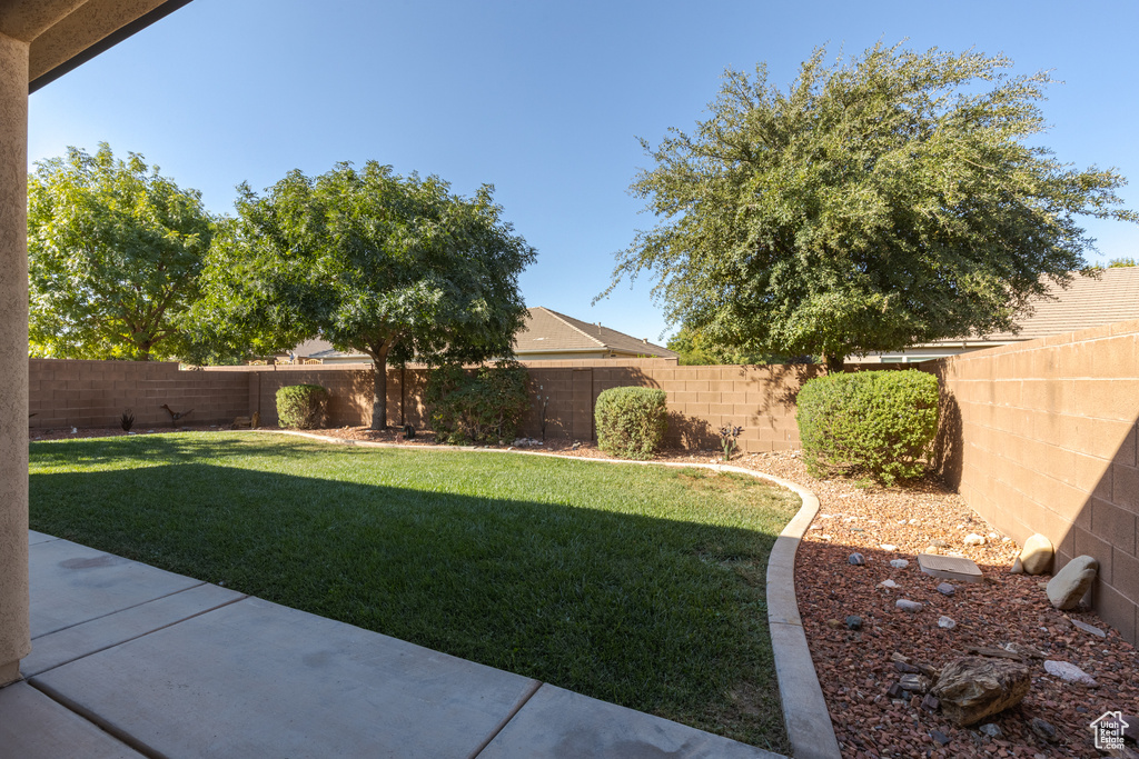 View of yard featuring a patio