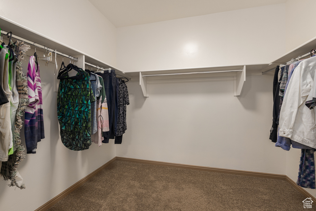 Spacious closet with carpet flooring