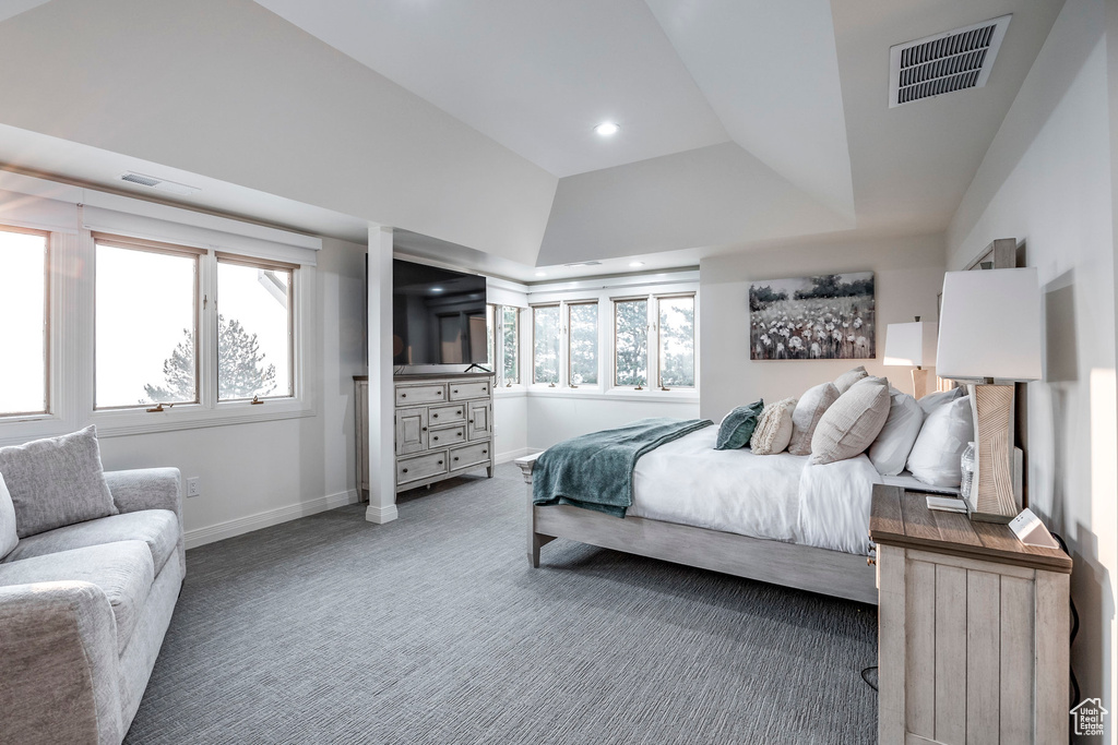 Carpeted bedroom featuring vaulted ceiling