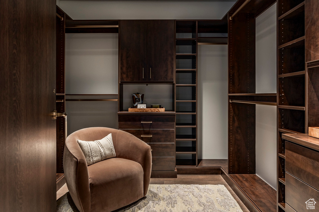 Spacious closet with hardwood / wood-style flooring