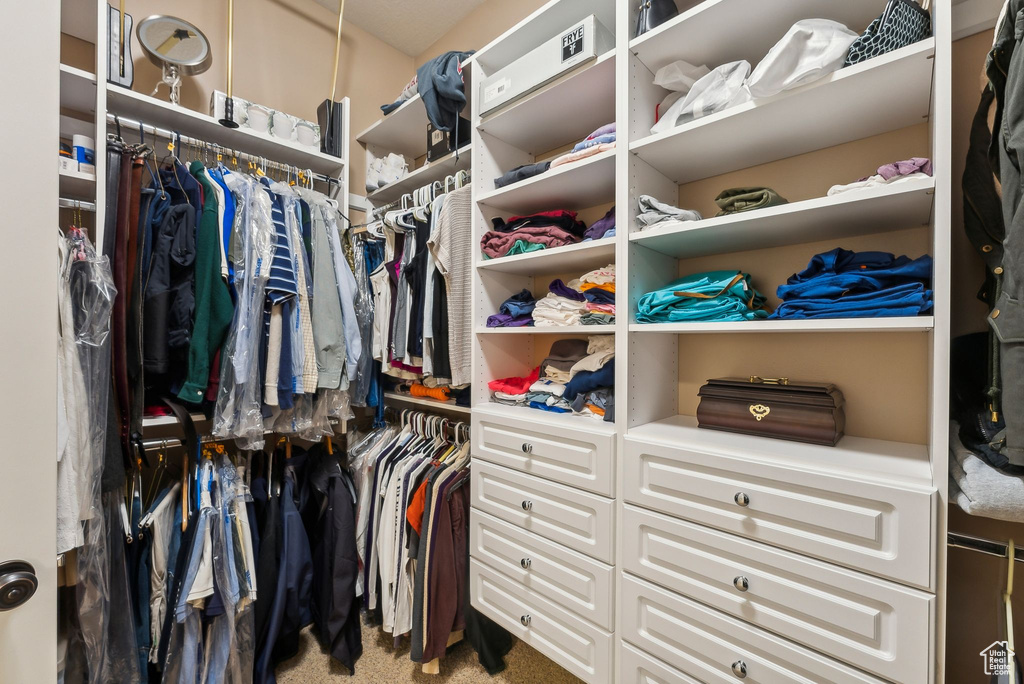 Walk in closet with carpet flooring