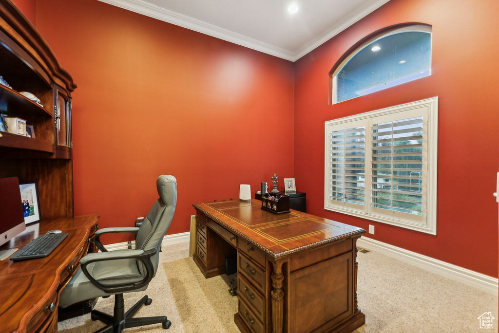 Carpeted office featuring ornamental molding