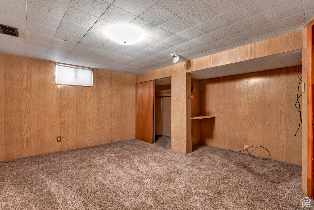 Basement with wooden walls and carpet floors