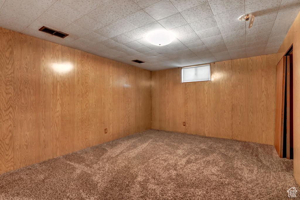 Basement with carpet and wooden walls