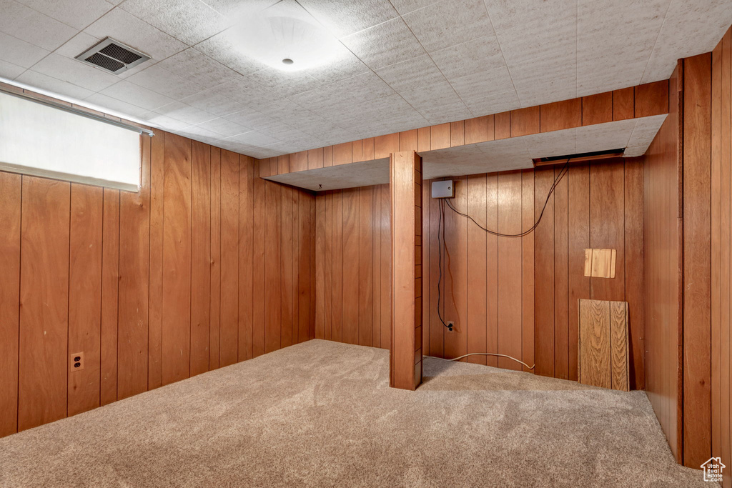 Basement with carpet floors and wood walls