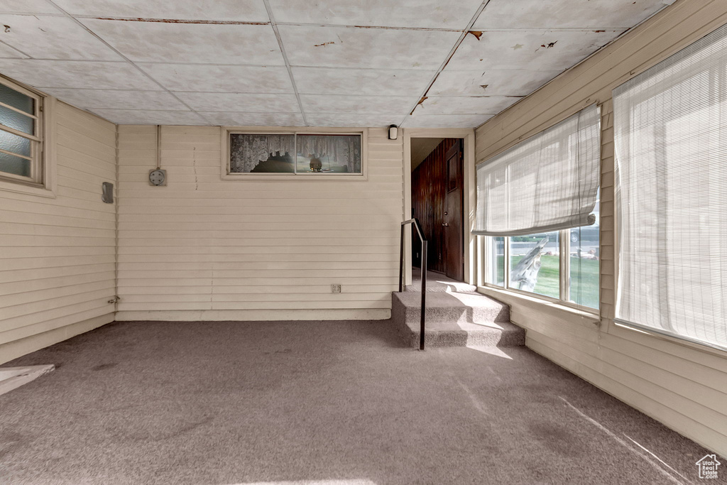 Interior space featuring wood walls and carpet flooring