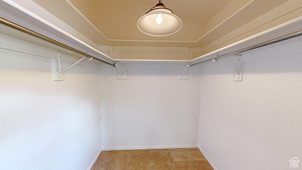 Spacious closet featuring light colored carpet