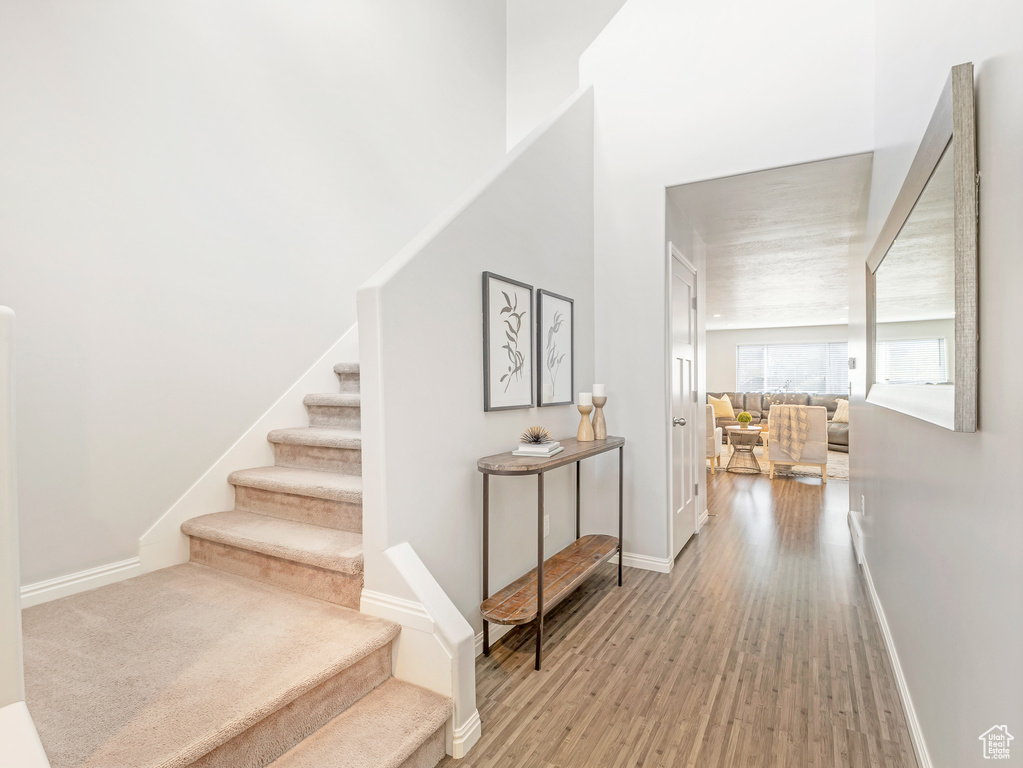 Staircase featuring hardwood / wood-style floors