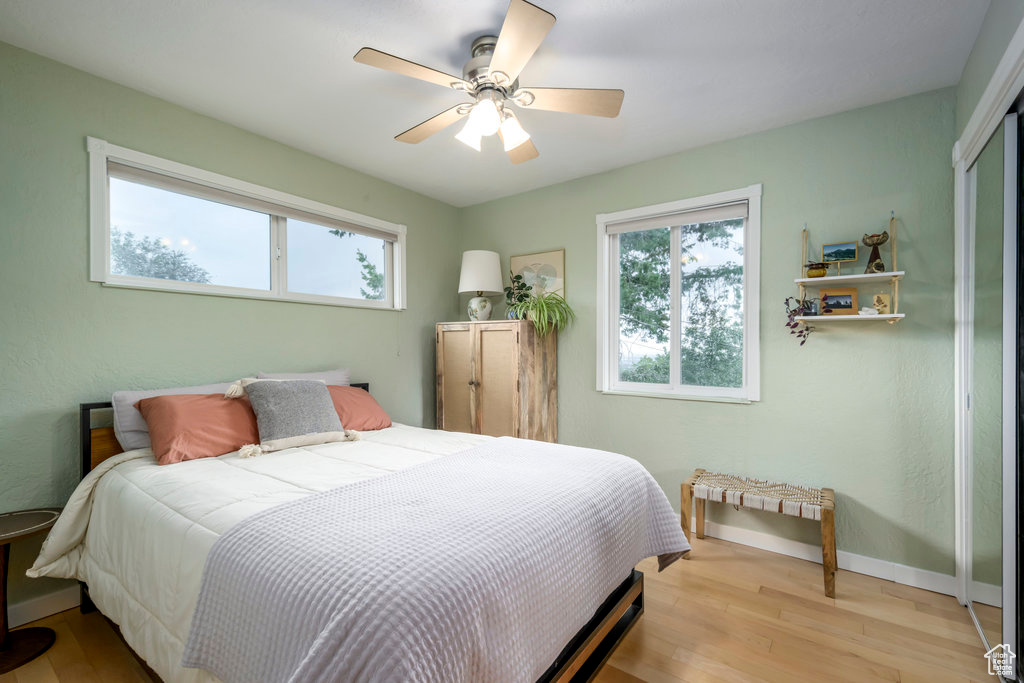 Bedroom featuring multiple windows, ceiling fan, light hardwood / wood-style flooring, and a closet