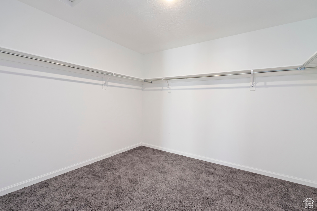 Walk in closet with carpet flooring