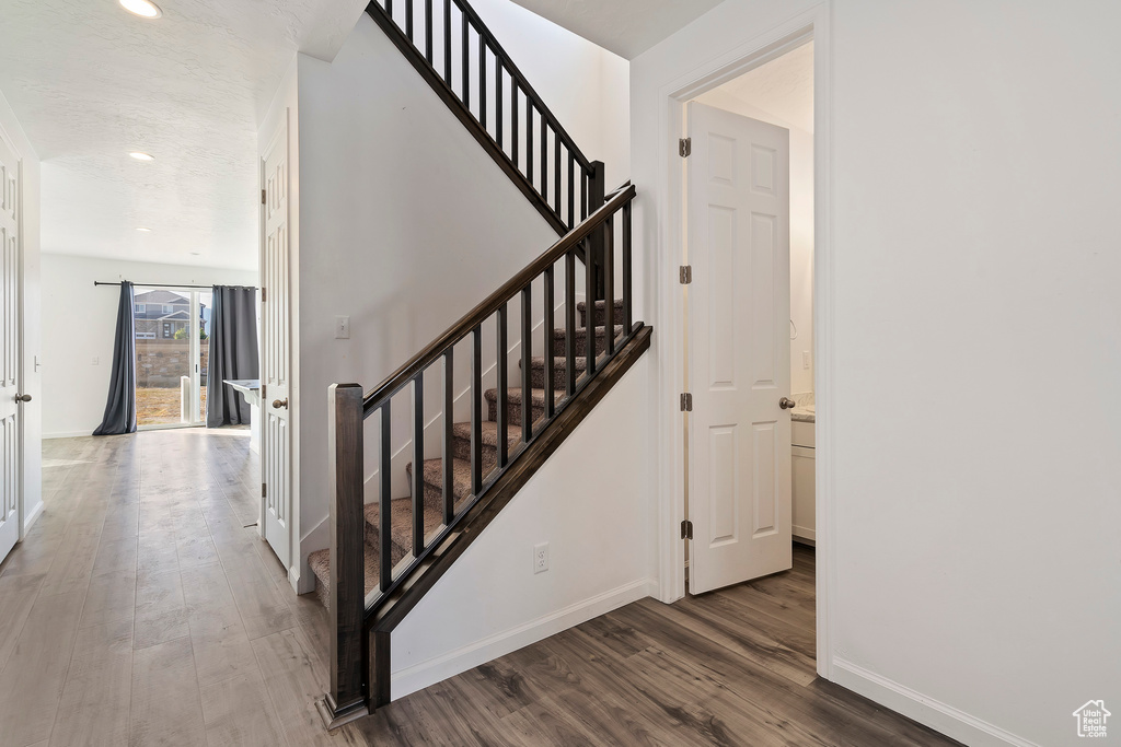 Stairs with hardwood / wood-style flooring