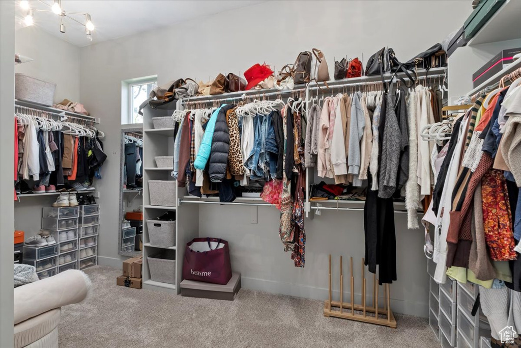 Walk in closet with carpet flooring