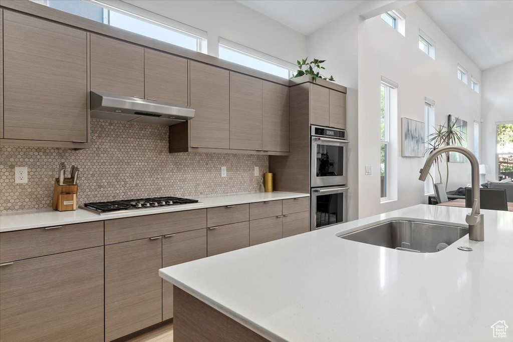 Kitchen featuring appliances with stainless steel finishes, sink, and tasteful backsplash