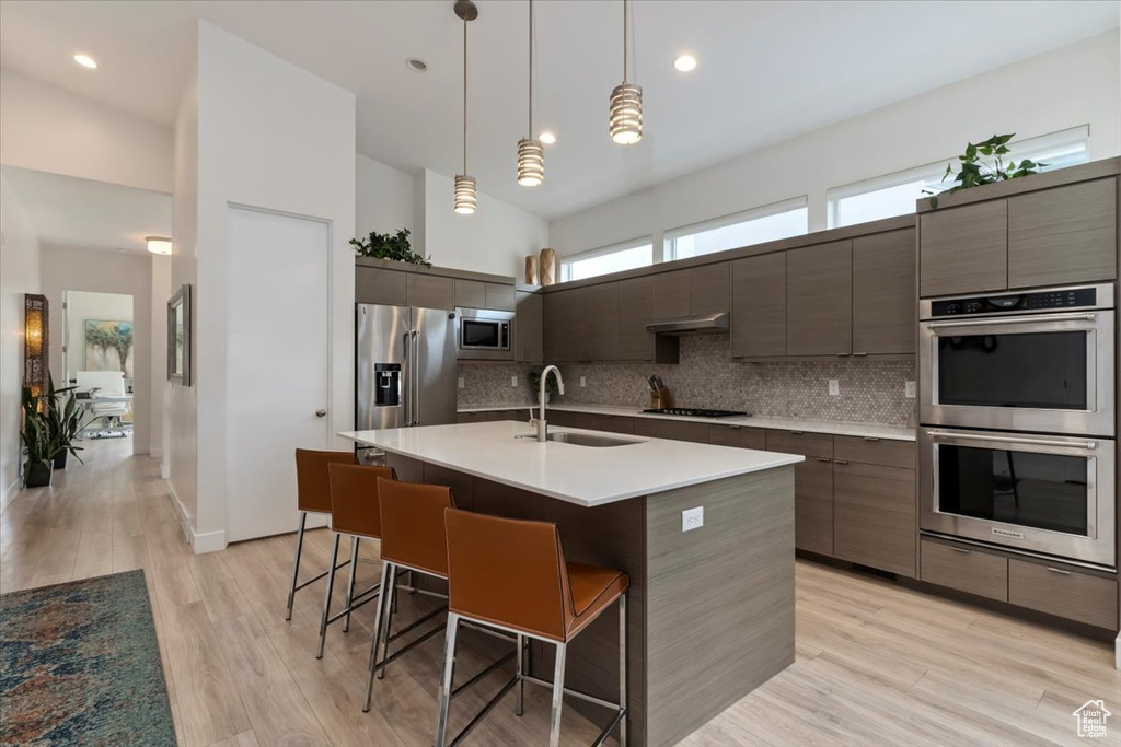 Kitchen featuring light hardwood / wood-style floors, sink, hanging light fixtures, high vaulted ceiling, and stainless steel appliances