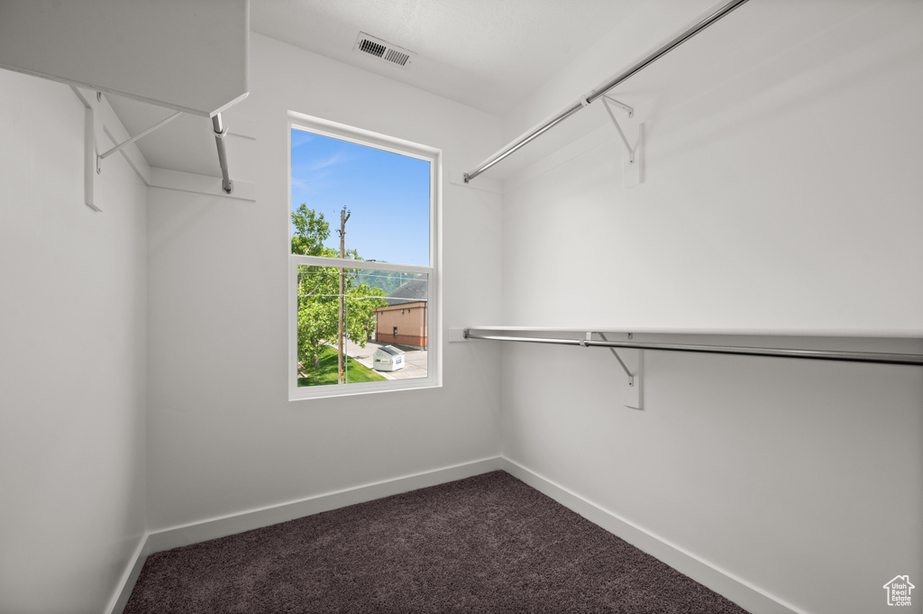 Spacious closet featuring carpet flooring