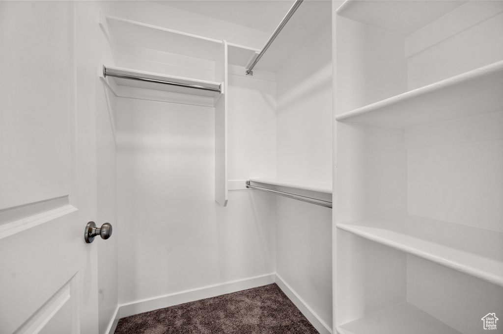 Spacious closet with carpet flooring