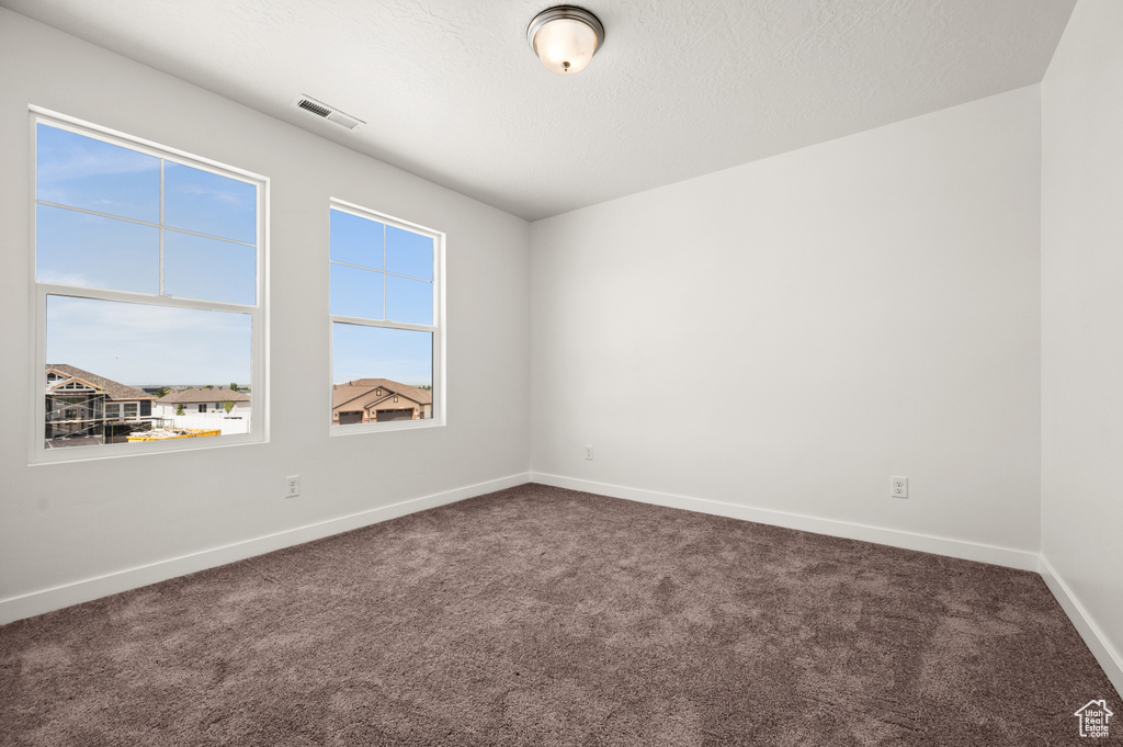 Carpeted spare room with a textured ceiling and a healthy amount of sunlight